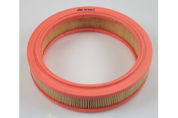 Filtro Aria Aud-Cit-Fca-For-Opl-Sea-Sko-Vw - EAF3098.20
