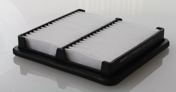 Filtro Aria Dae - EAF3137.10