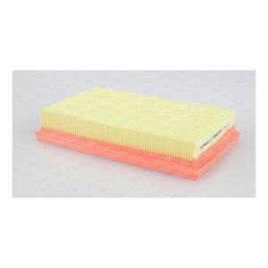Filtro Aria EAF3019.10