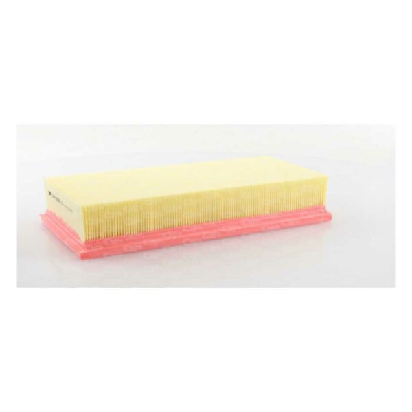 Filtro Aria EAF3036.10