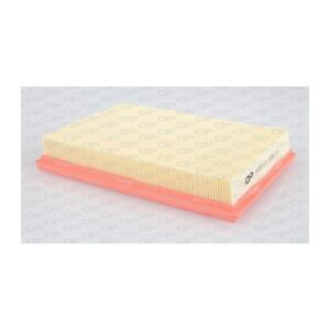 Filtro Aria EAF3074.10