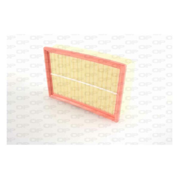 Filtro Aria EAF3100.10
