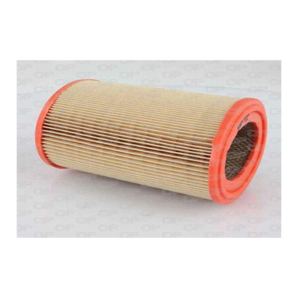 Filtro Aria EAF3101.30