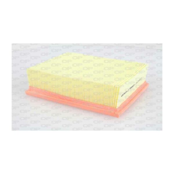 Filtro Aria EAF3114.10