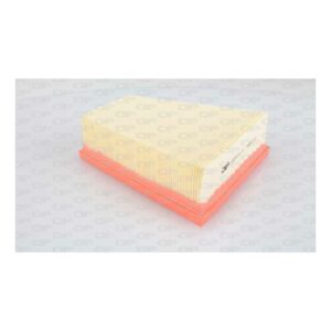 Filtro Aria EAF3119.10