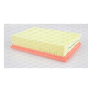 Filtro Aria EAF3120.10