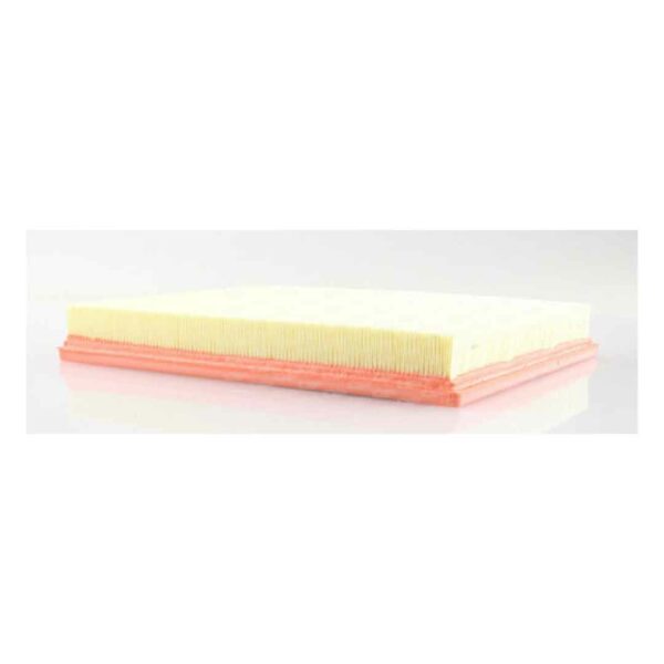 Filtro Aria EAF3147.10