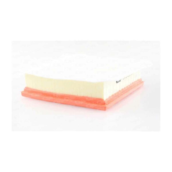 Filtro Aria EAF3462.10