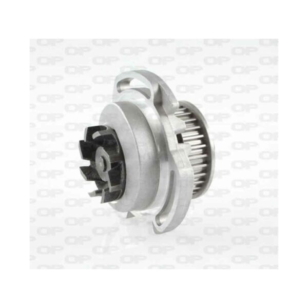 Pompa Acqua WAP8116.00