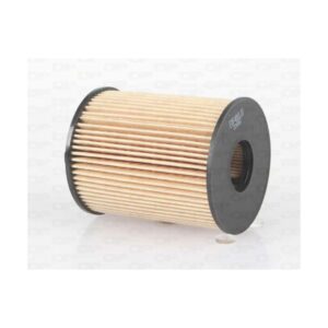 Filtro Olio EOF4001.10