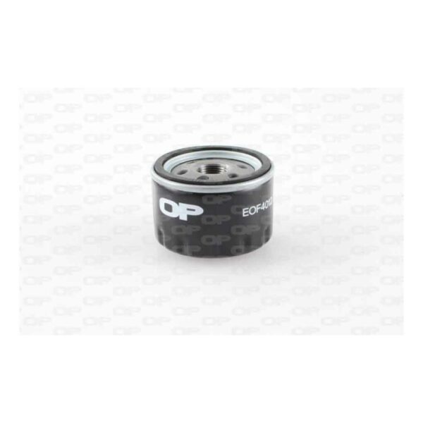 Filtro Olio Motore EOF4012.20