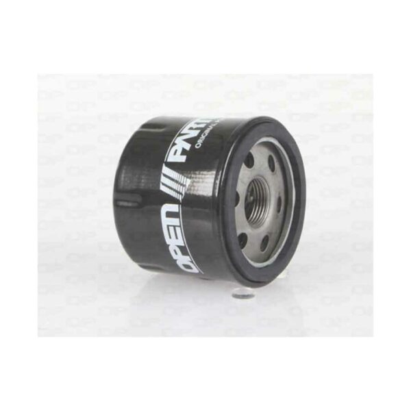 Filtro Olio Motore EOF4024.20