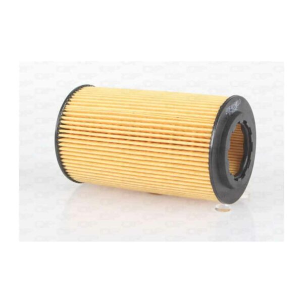 Filtro Olio Motore EOF4060.10