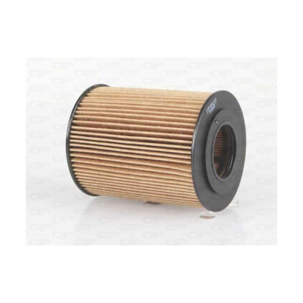Filtro Olio Motore EOF4092.10