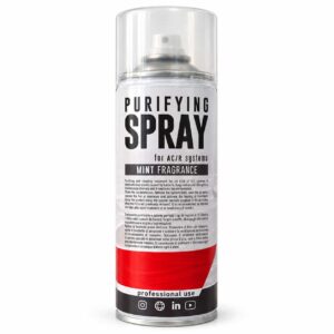 Spray Purificante Professionale per Climatizzatori – 400 ml